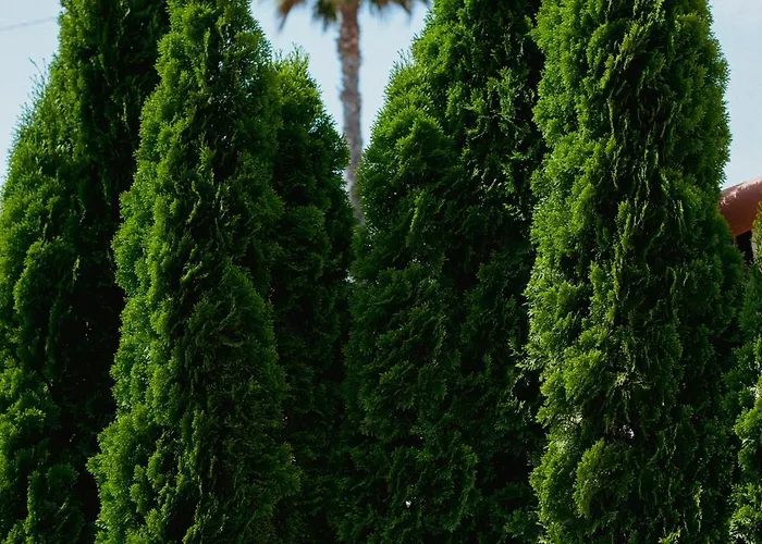 Hotel Boutique Fabulite Antibes