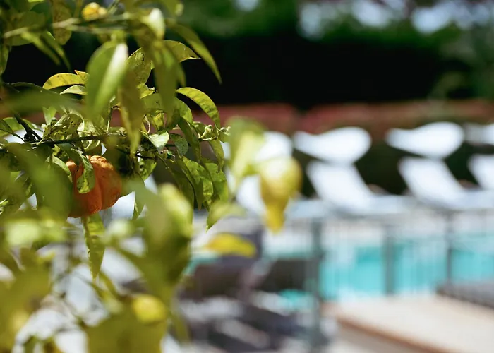 Hotel Boutique Fabulite Antibes