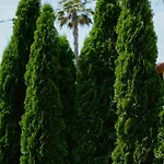 Ξενοδοχείο Boutique Fabulite Αντίμπ