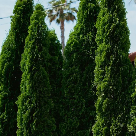 Szálloda Boutique Fabulite Antibes