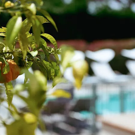 Hotel Fabulite Antibes