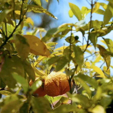Boutique Fabulite Antibes